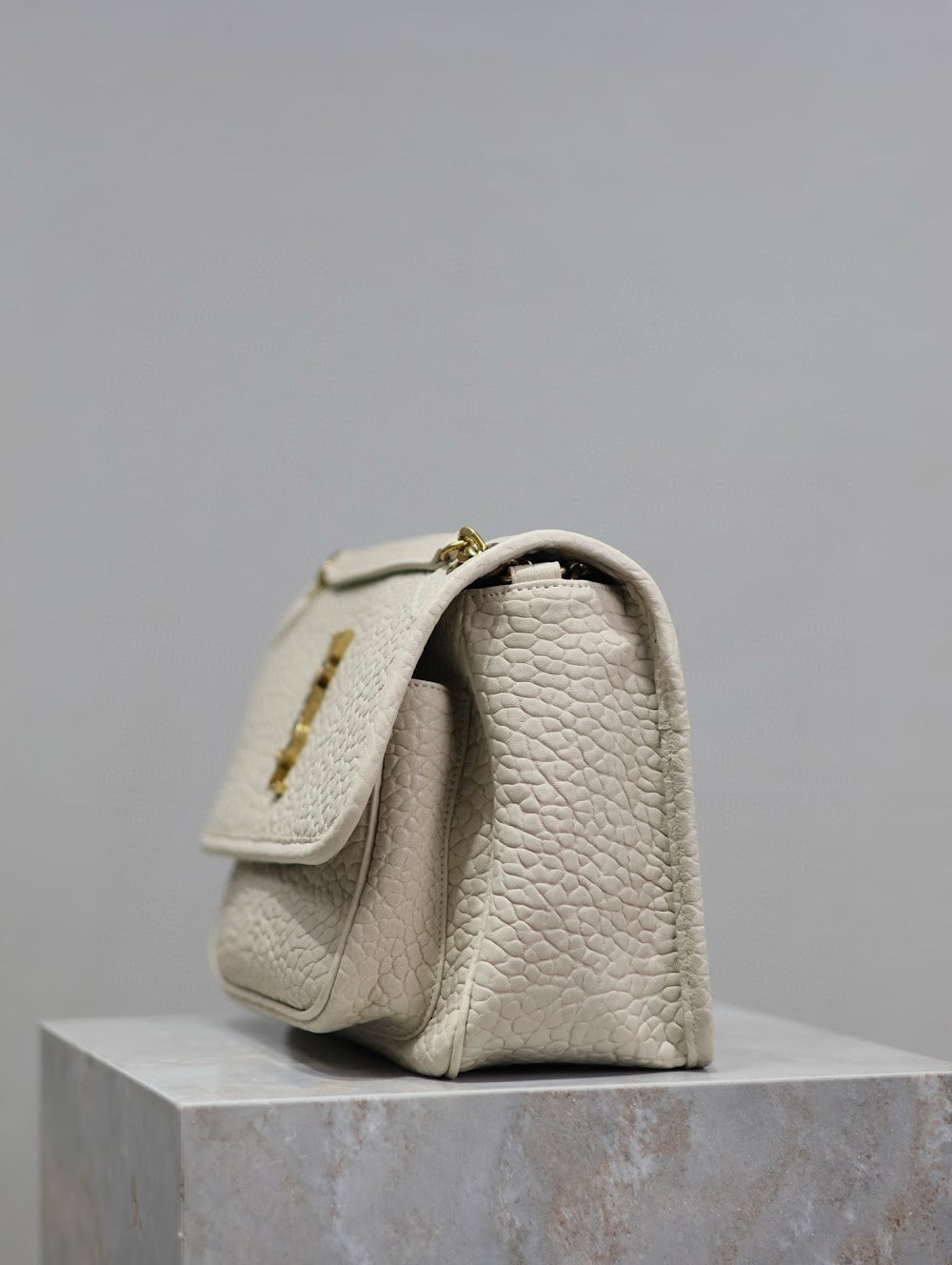 Dragons Bags YSLn Luxury Bag --119696