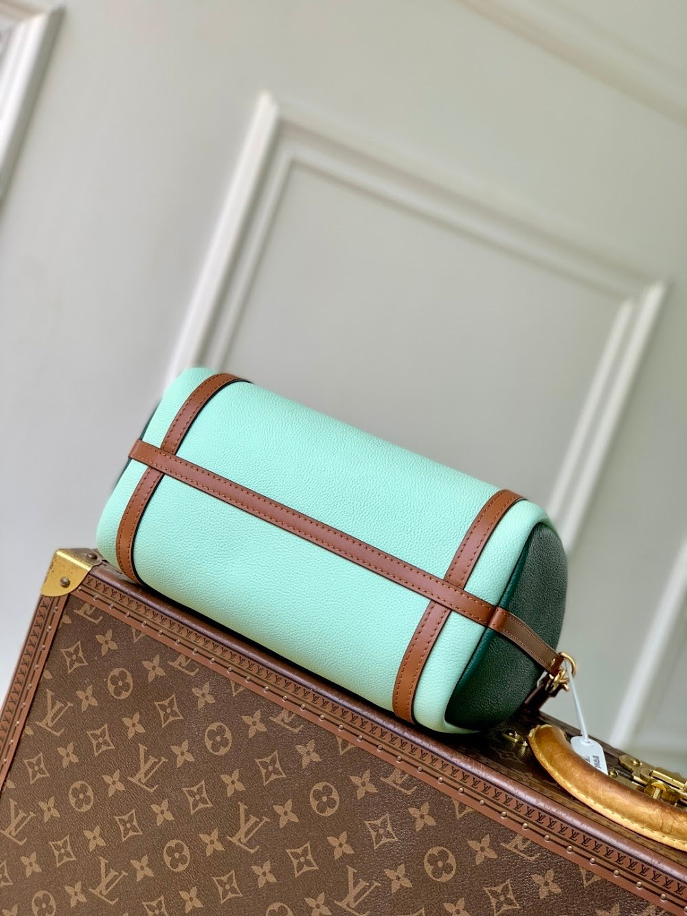Dragons Bags ln Luxury Bag --96701