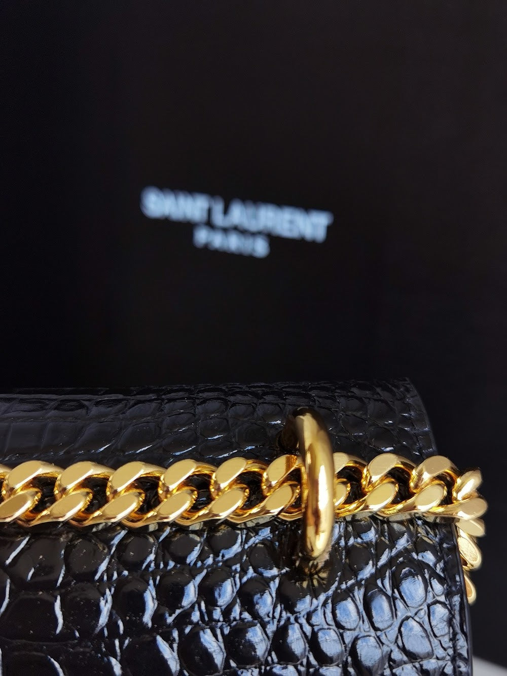 Dragons Bags YSLn Luxury Bag --120808