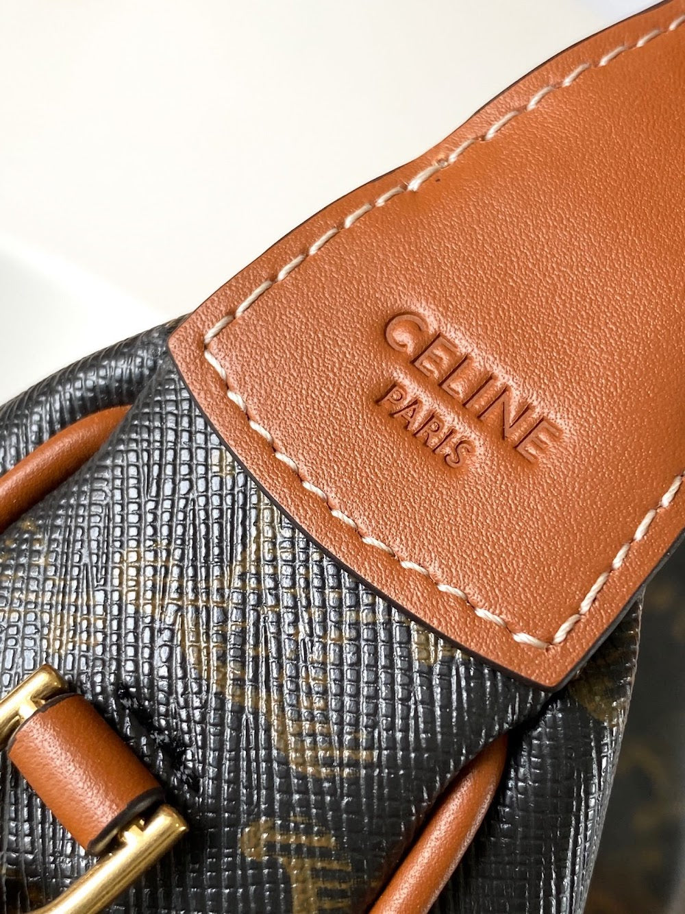 Dragons Bags Celine Luxury Bag --112074