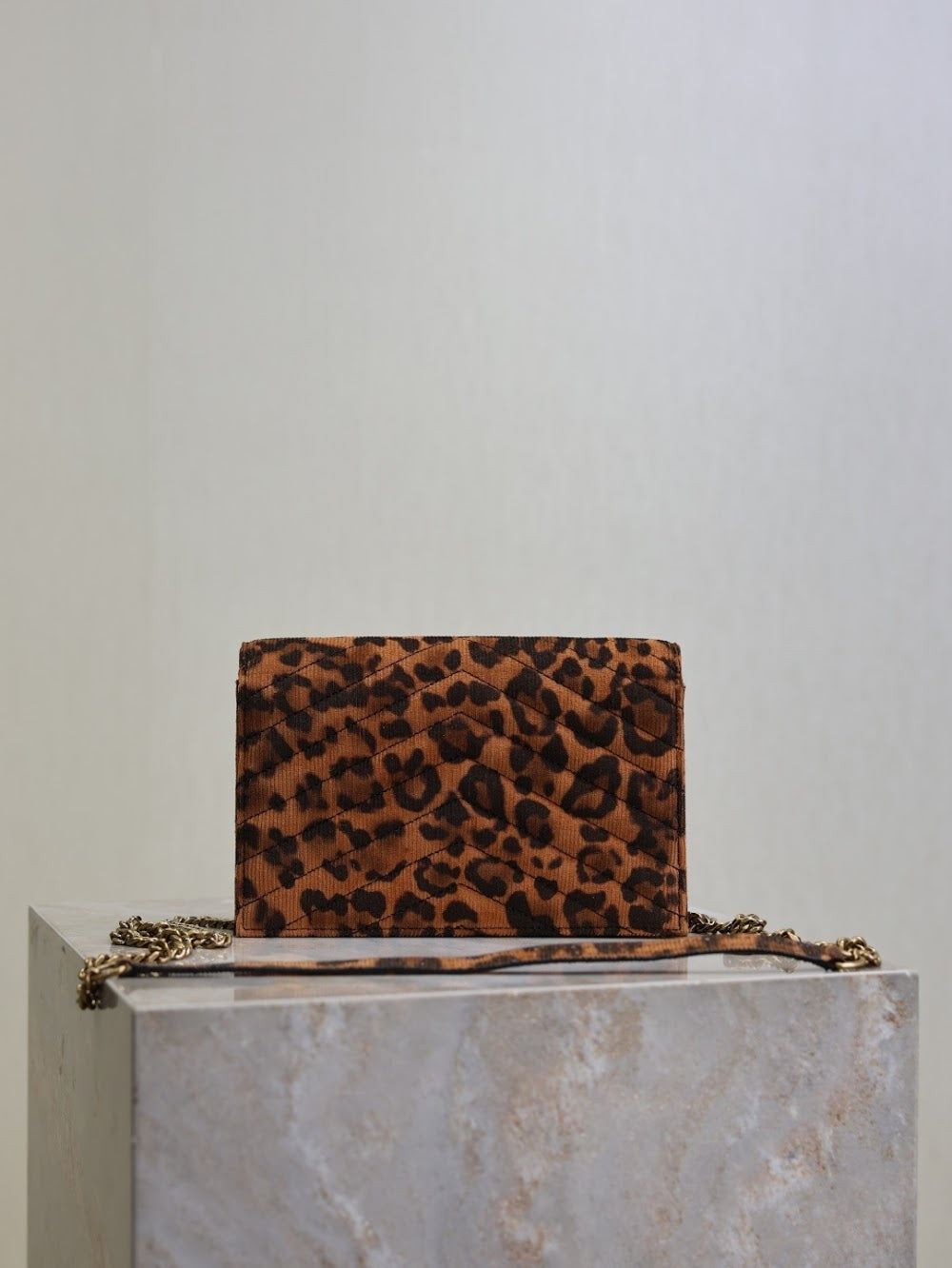Dragons Bags YSLn Luxury Bag --119648