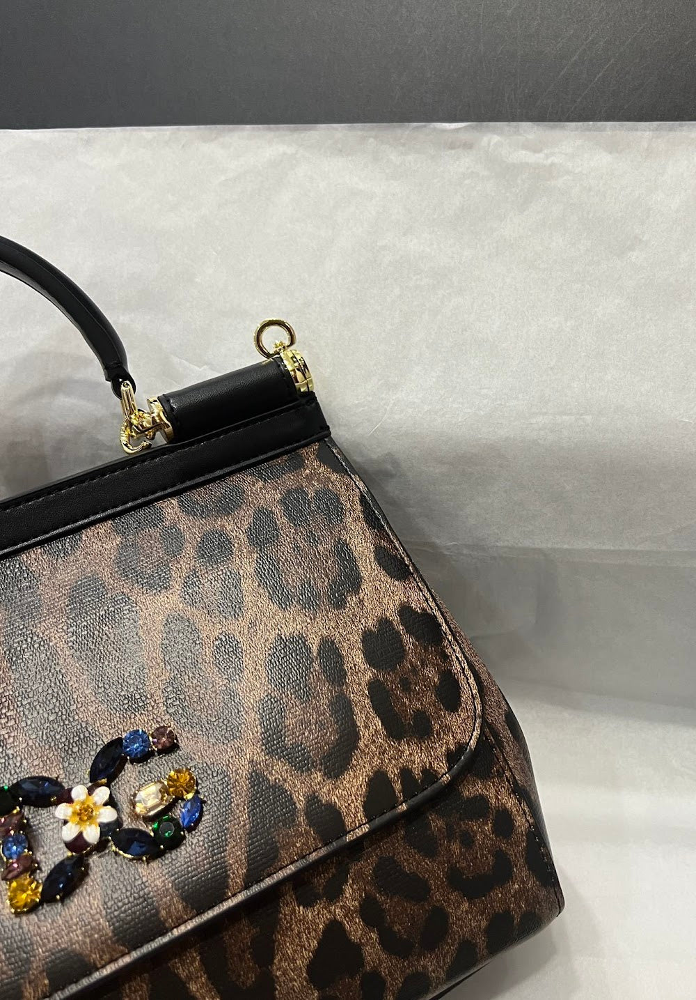 Dragons Bags DGn Luxury Bag --93556