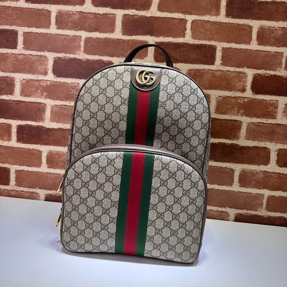 Dragons Bags Guccin Luxury Bag --95339