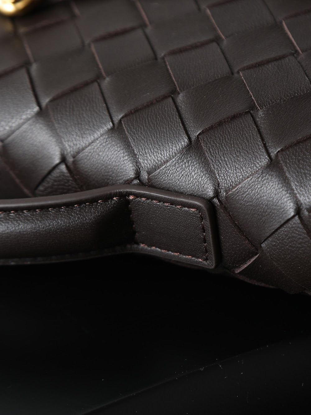 Dragons Bags Bottegan Luxury Bag --91397