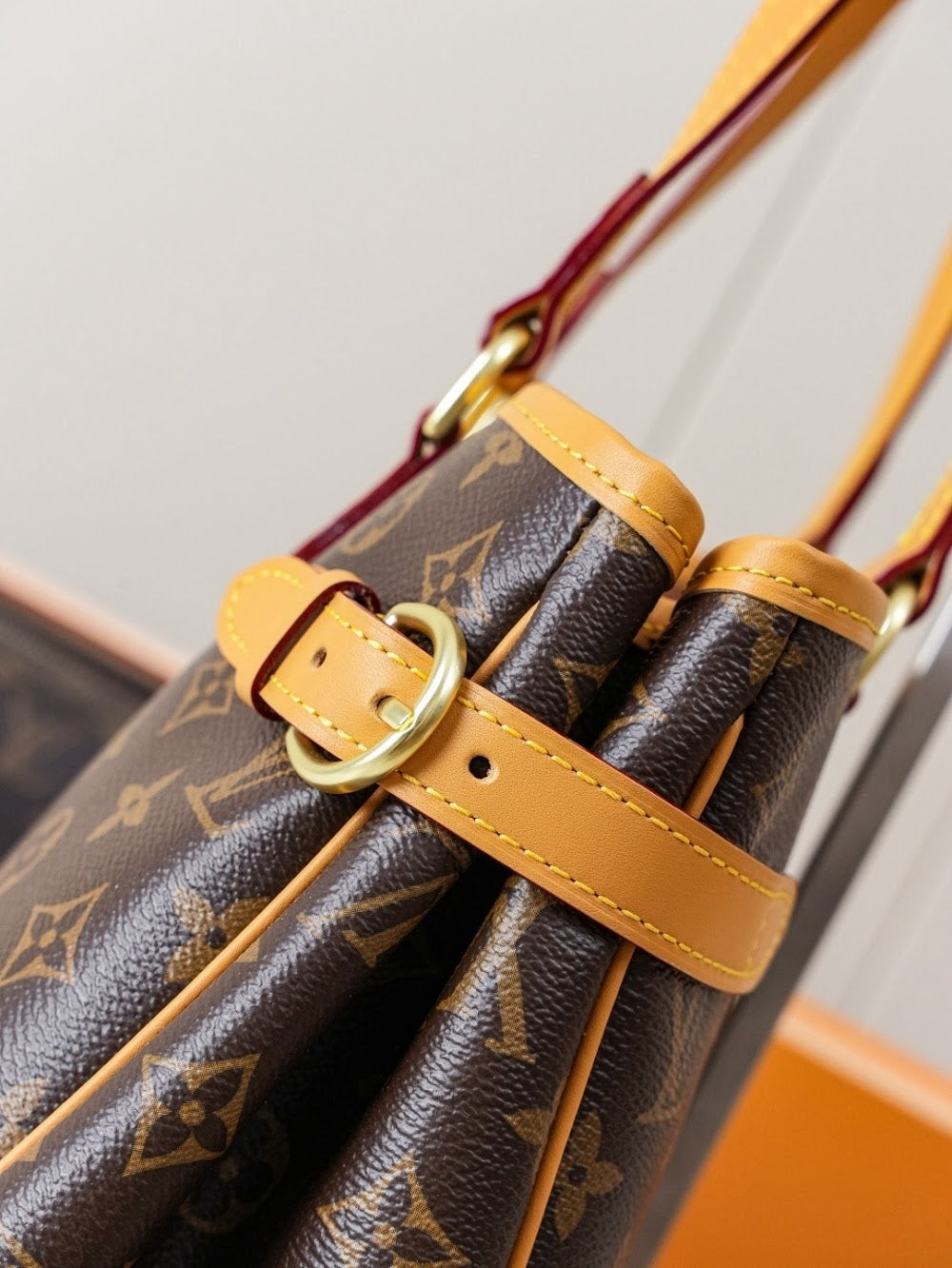 Dragons Bags LVn Luxury Bag --79102