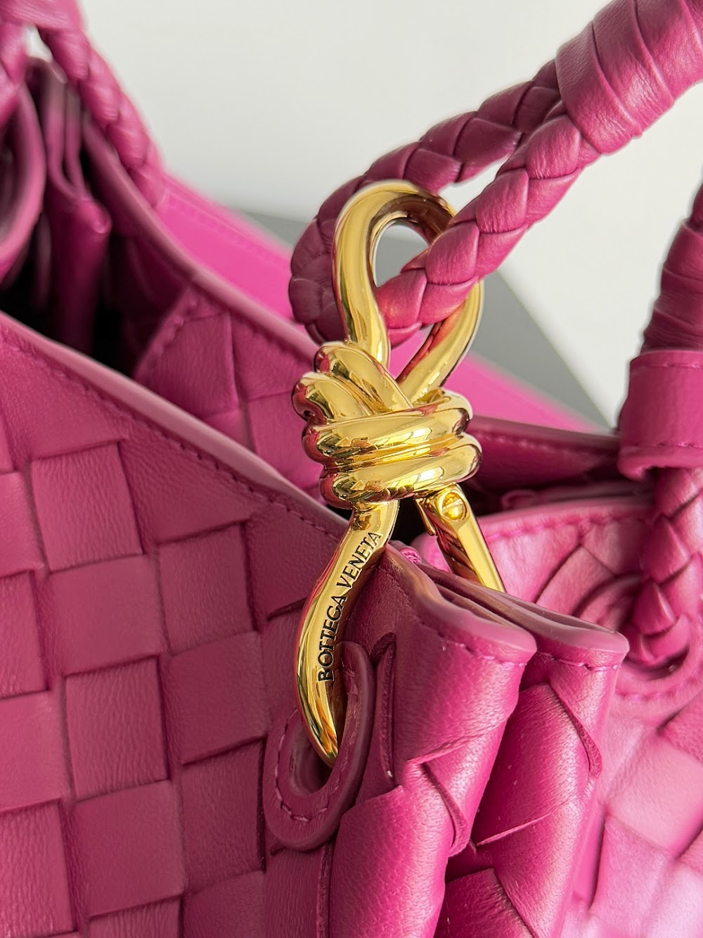 Dragons Bags Bottegan Luxury Bag --91112