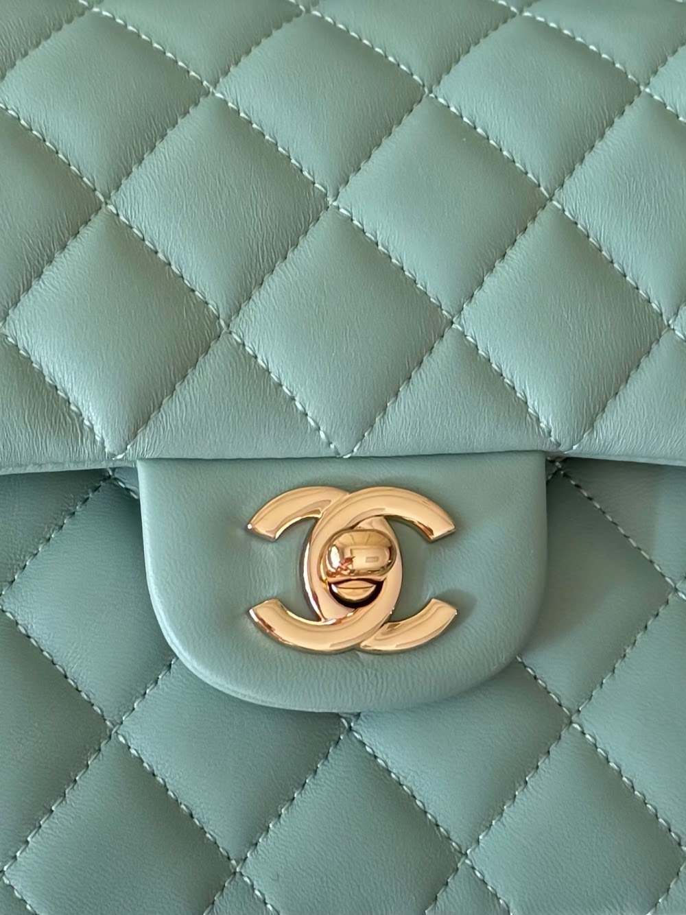 Dragons Bags CHn Luxury Bag --112980