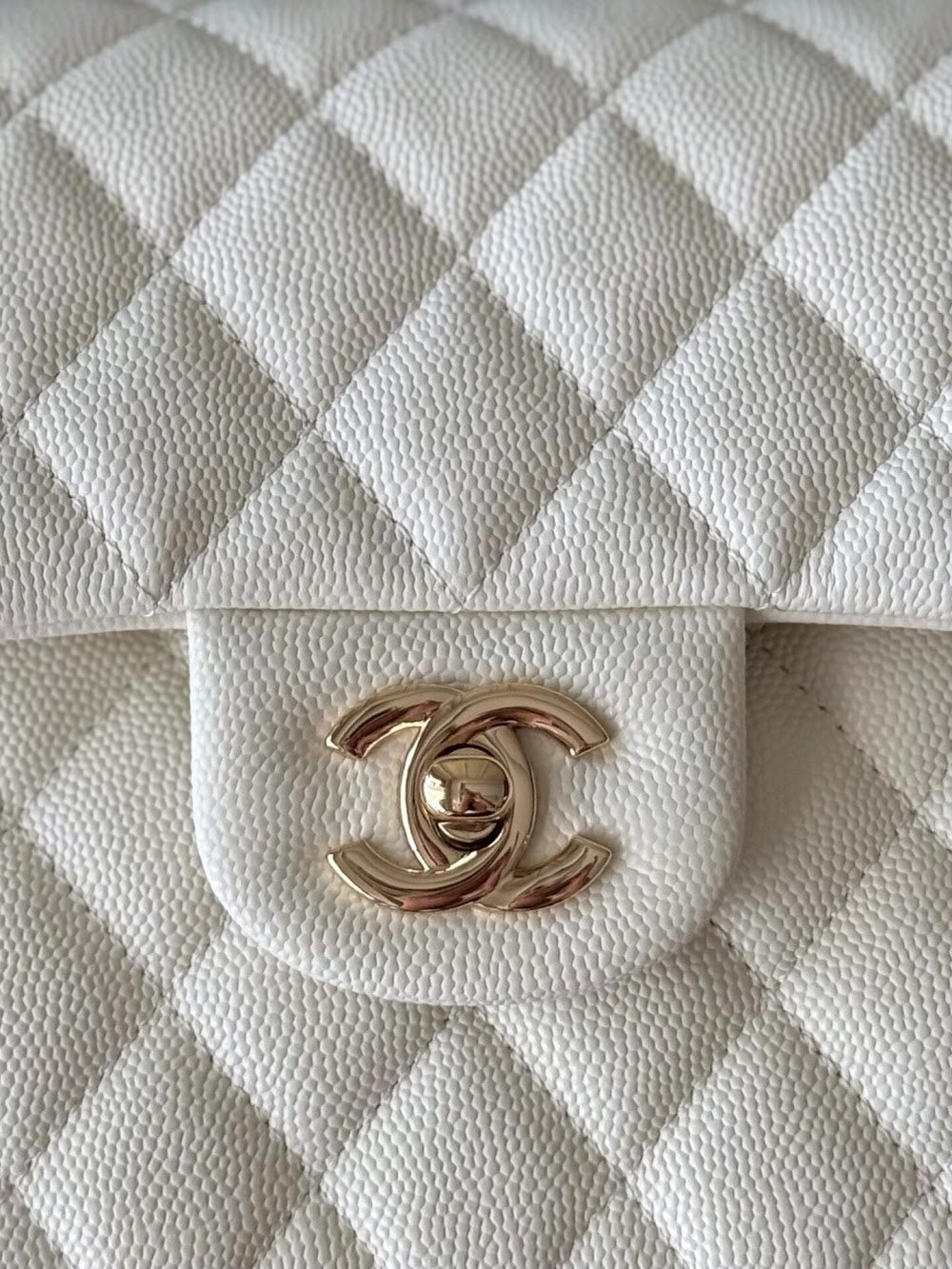 Dragons Bags CHn Luxury Bag --112765