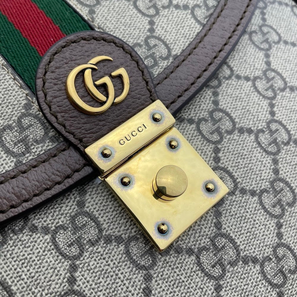 Dragons Bags Guccin Luxury Bag --95461