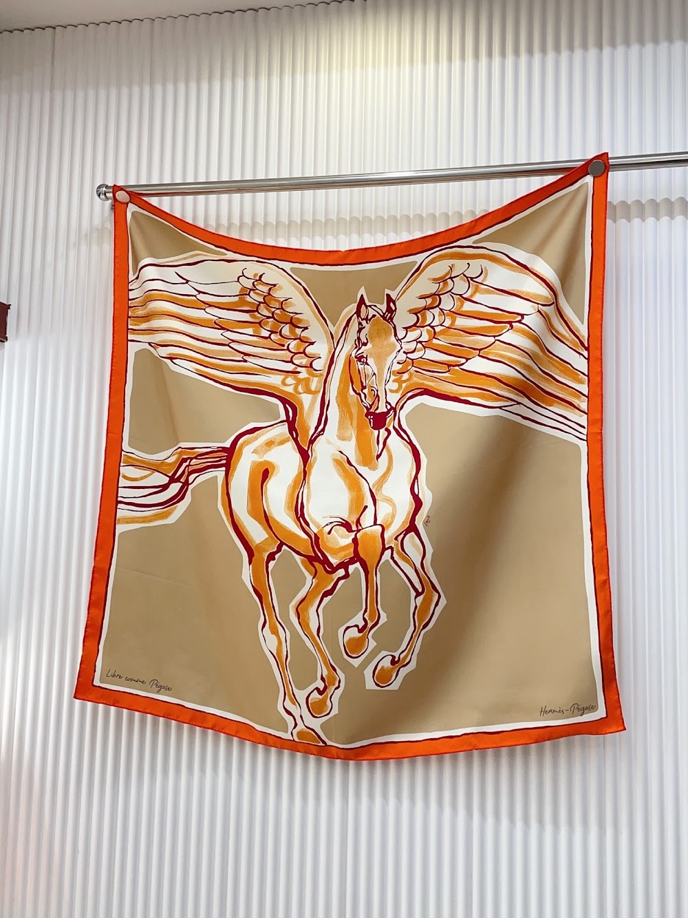 Dragons Bags Premium Designer Scarf --98814