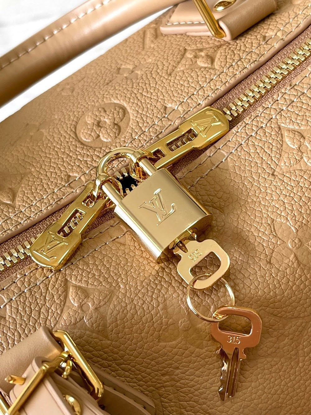 Dragons Bags ln Luxury Bag --97211