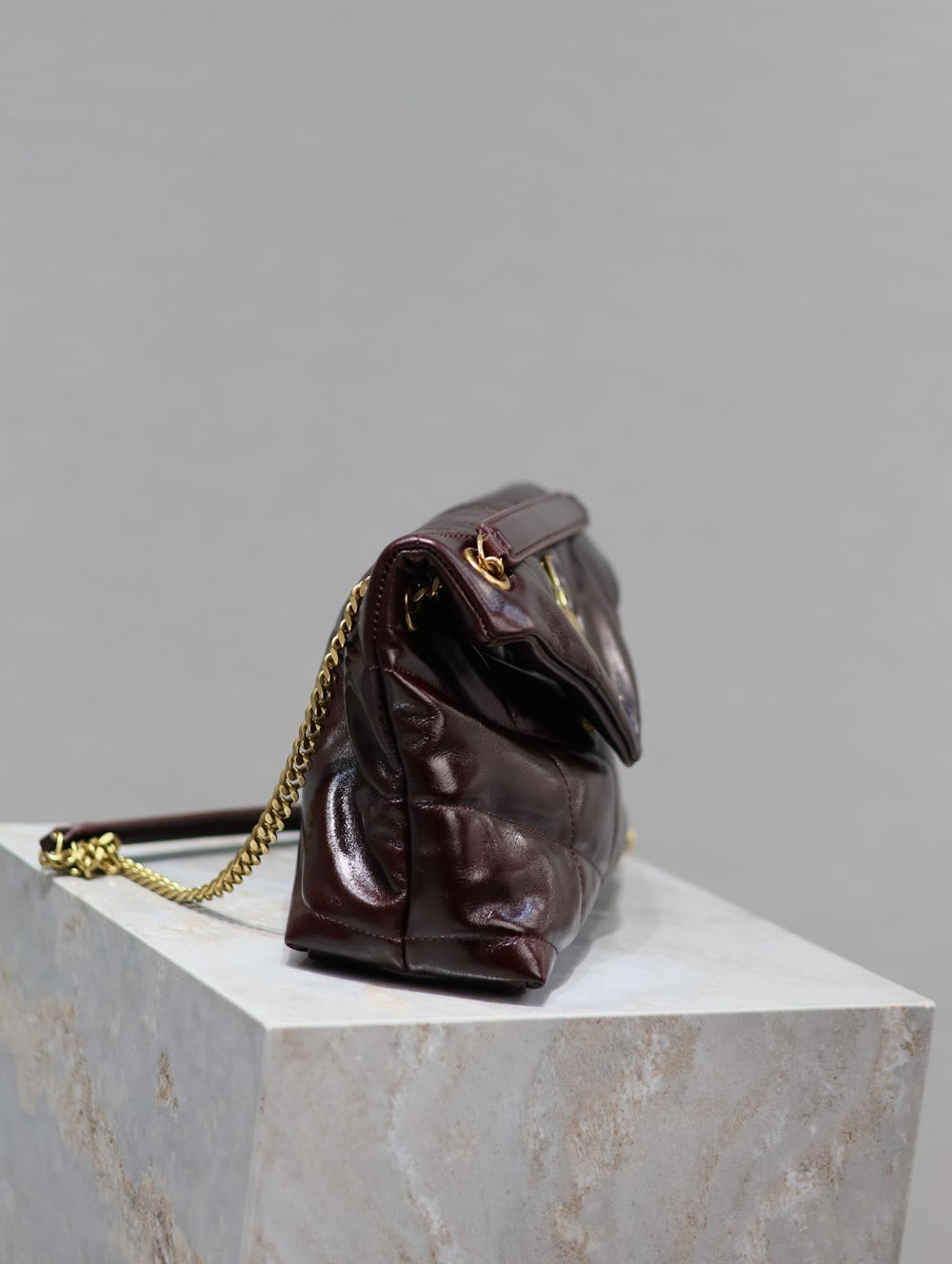 Dragons Bags YSLn Luxury Bag --119413