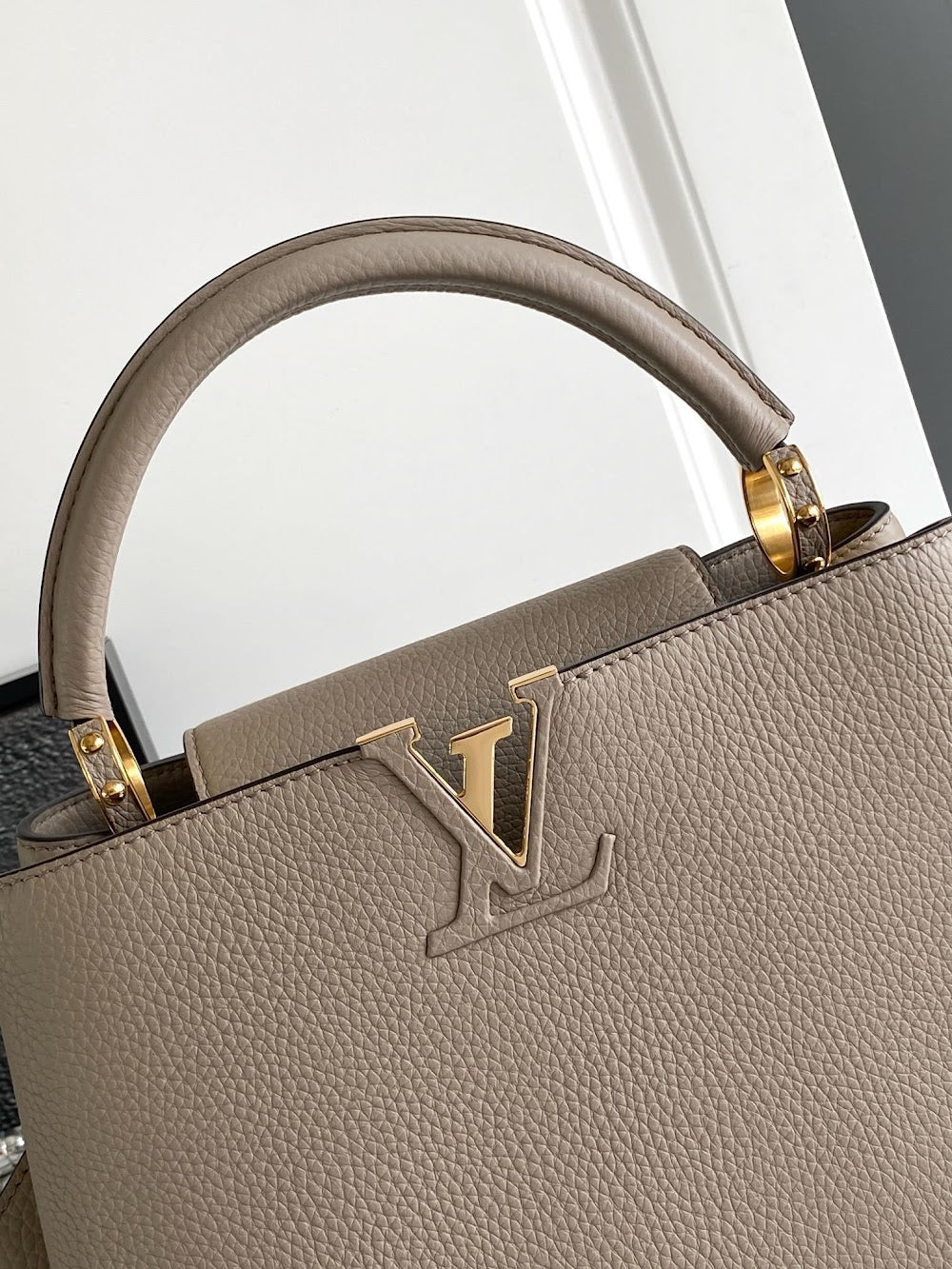 Dragons Bags ln Luxury Bag --96822