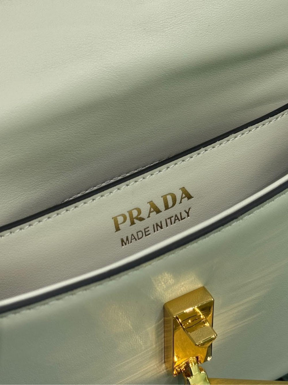 Dragons Bags Pradn Luxury Bag --102290