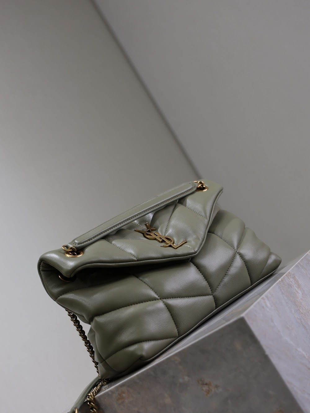 Dragons Bags YSLn Luxury Bag --119445