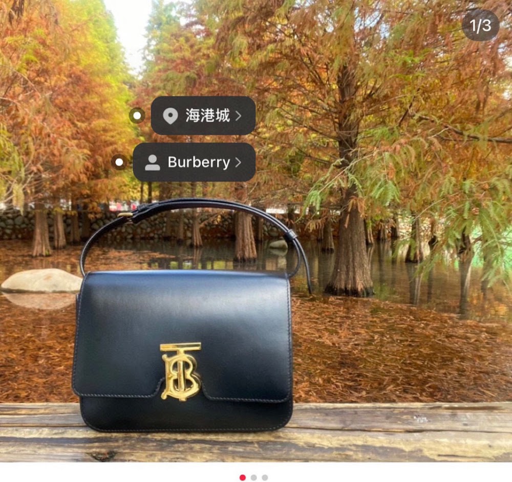 Dragons Bags Burberryn Luxury Bag --92589
