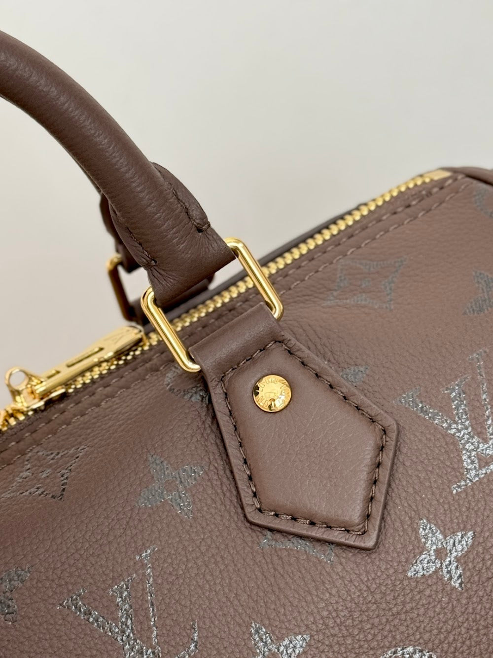 Dragons Bags ln Luxury Bag --96225