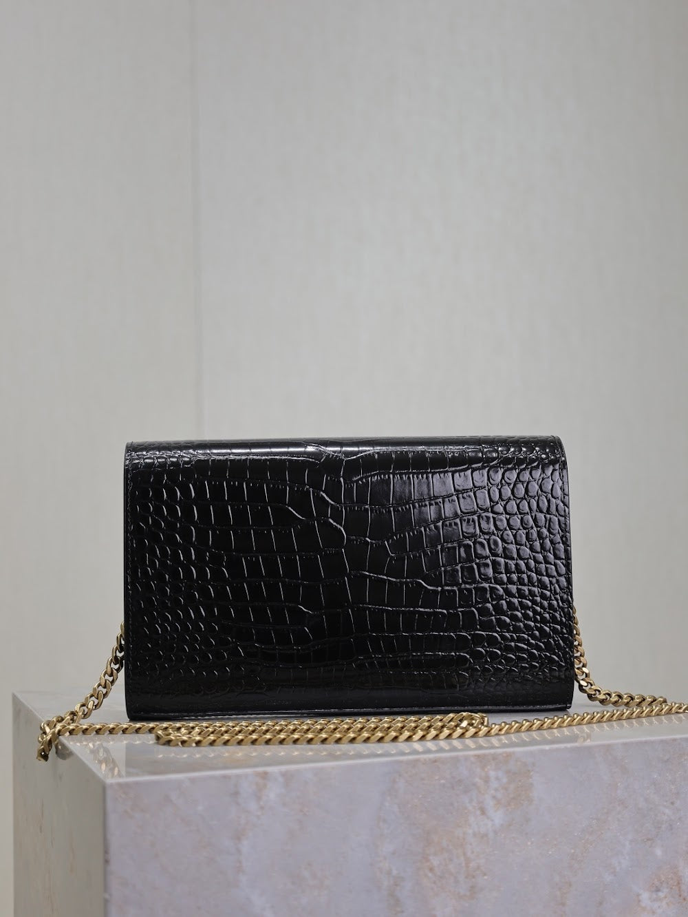 Dragons Bags YSLn Luxury Bag --119661