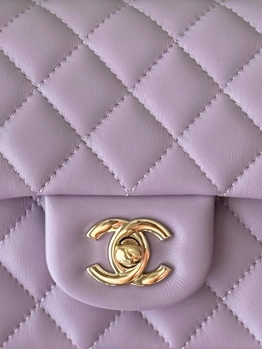 Dragons Bags CHn Luxury Bag --112988