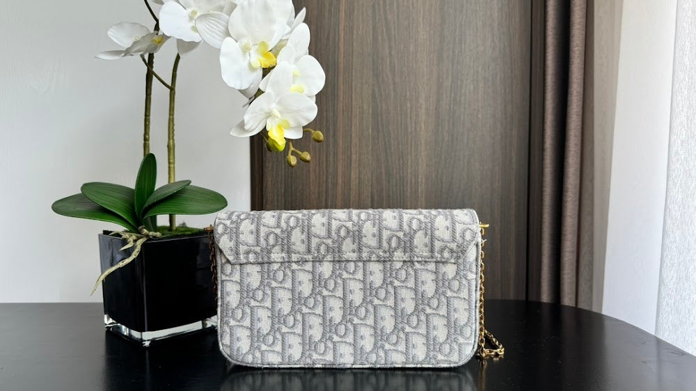 Dragons BagsDiorn Luxury Bag --115034