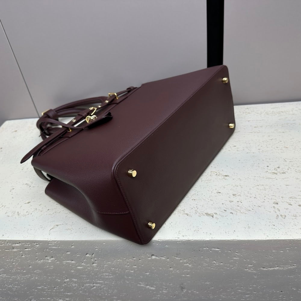 Dragons Bags Celine Luxury Bag --112493