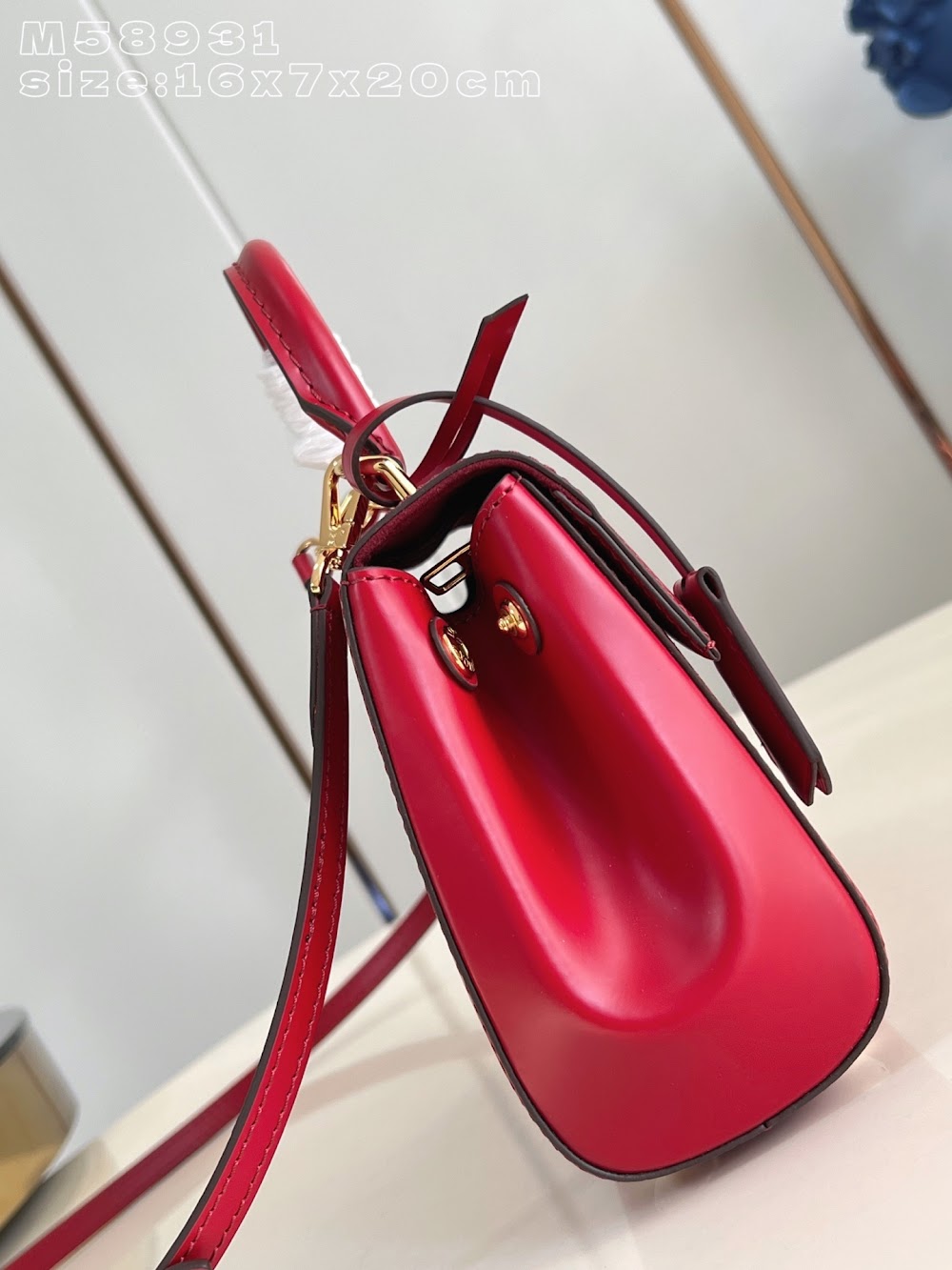Dragons Bags ln Luxury Bag --95814