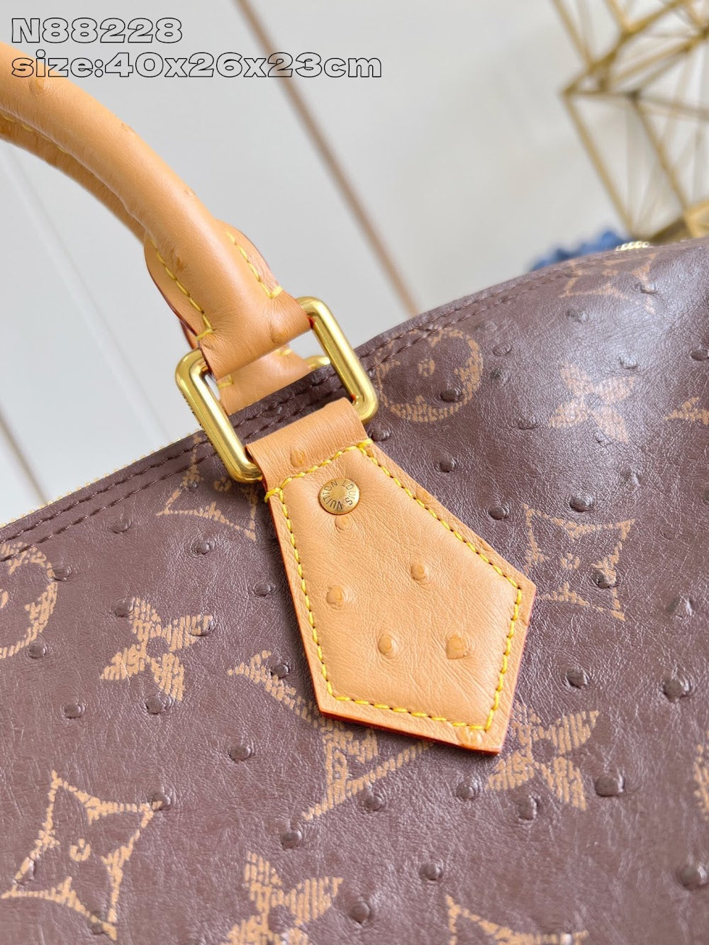 Dragons Bags ln Luxury Bag --97535