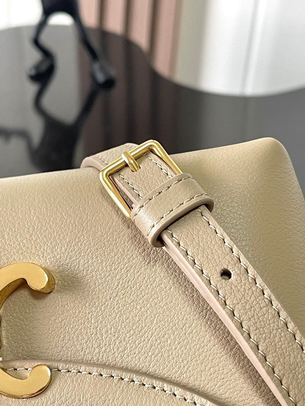 Dragons Bags Celine Luxury Bag --112331