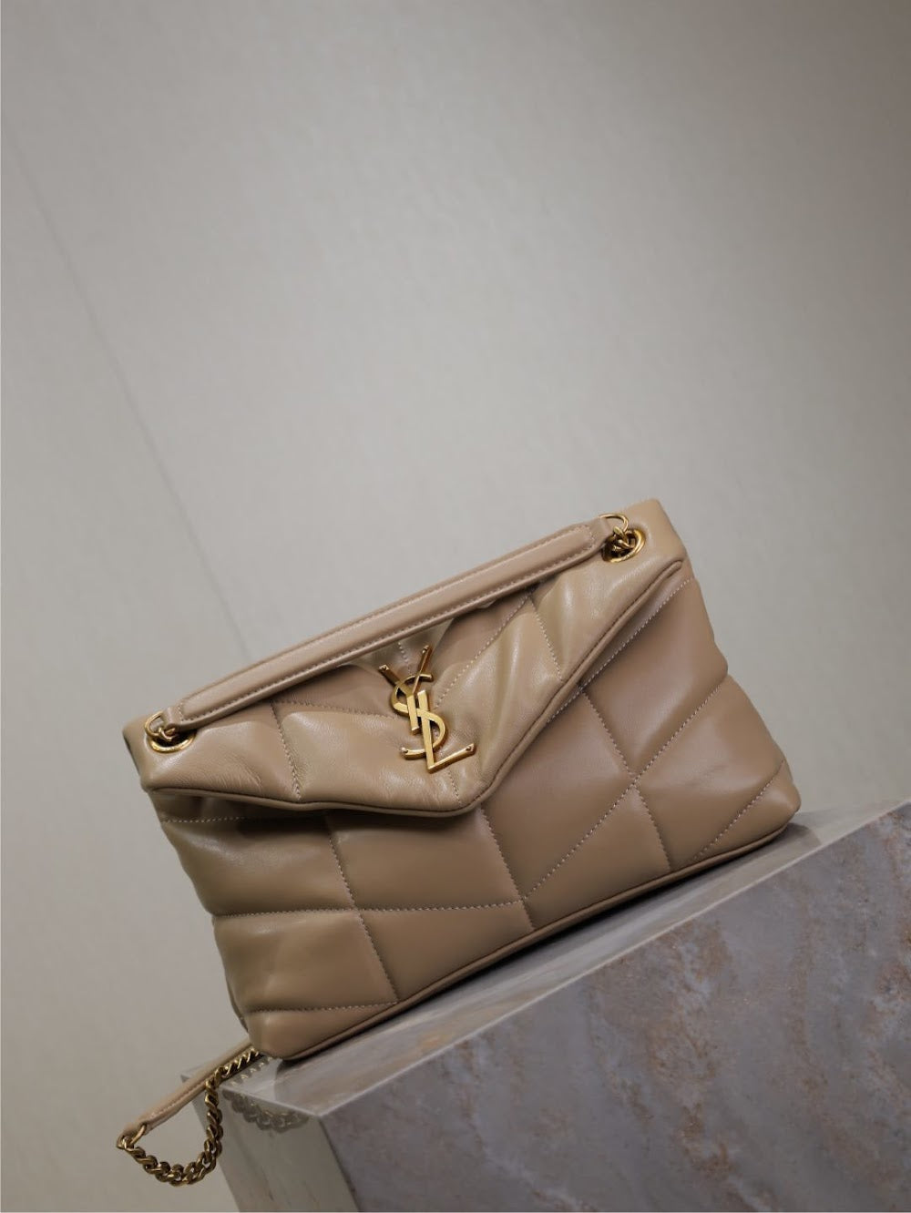 Dragons Bags YSLn Luxury Bag --119430