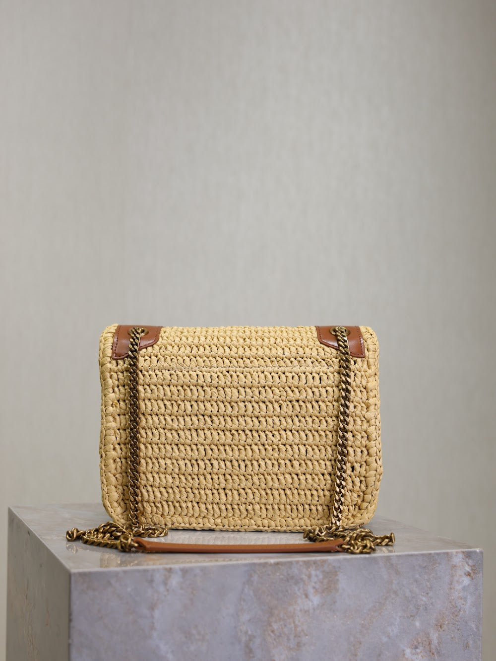 Dragons Bags YSLn Luxury Bag --119183