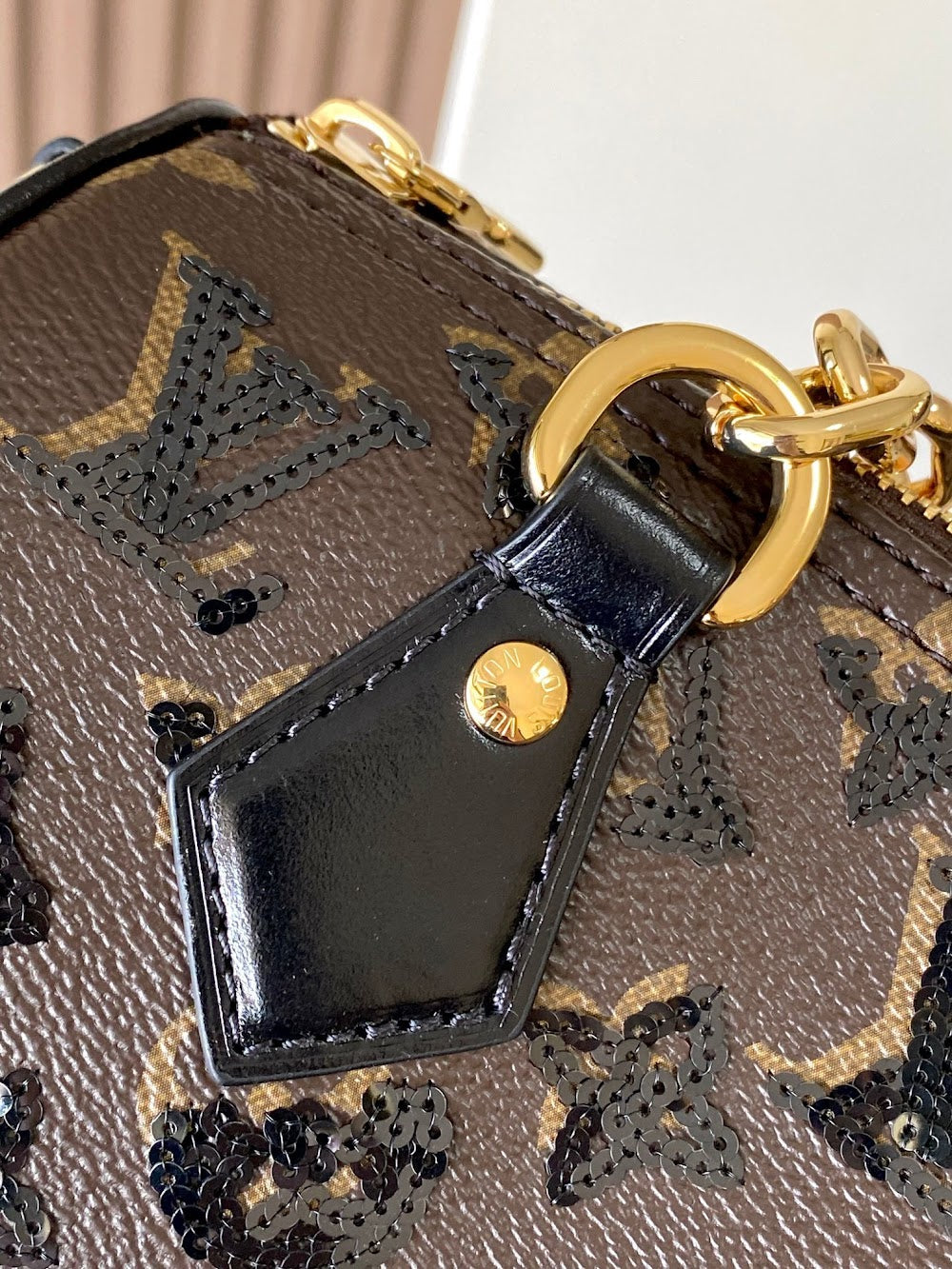 Dragons Bags ln Luxury Bag --95651