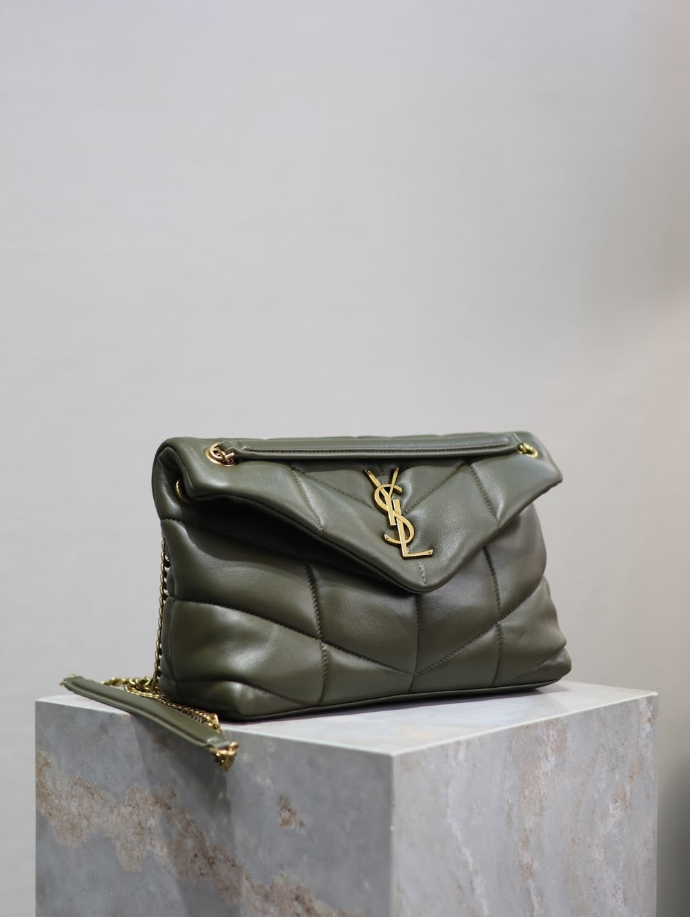 Dragons Bags YSLn Luxury Bag --119420