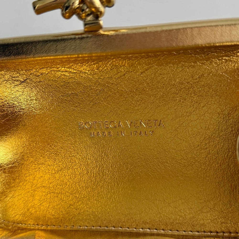 Dragons Bags Bottegan Luxury Bag --91347