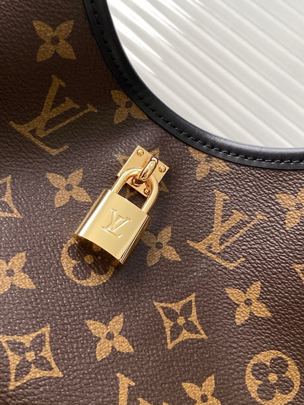 Dragons Bags LVn Luxury Bag --79683