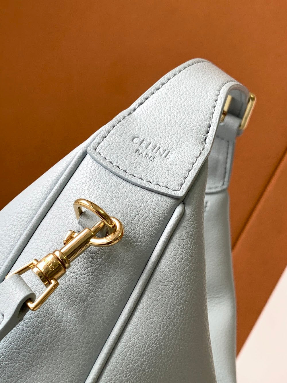 Dragons Bags Celine Luxury Bag --112075