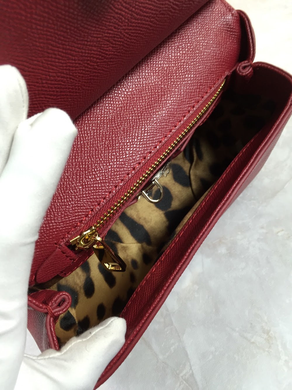 Dragons Bags DGn Luxury Bag --93176