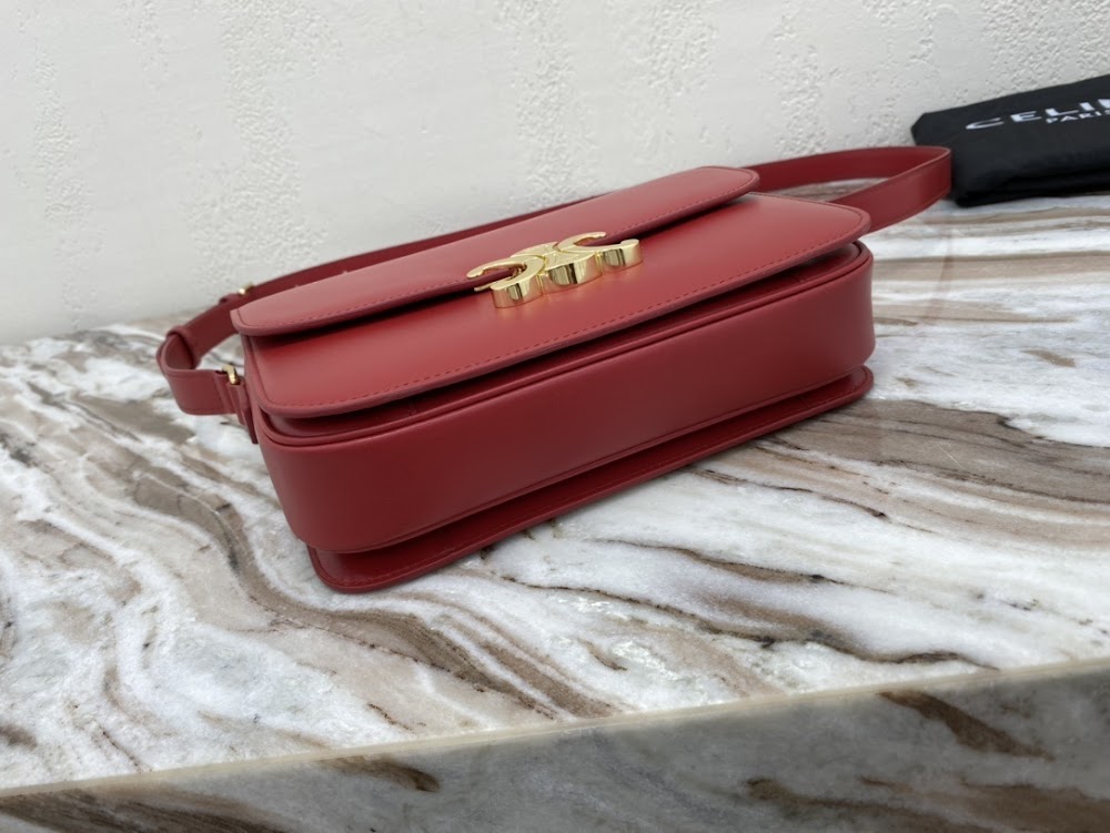 Dragons Bags Celine Luxury Bag --112458