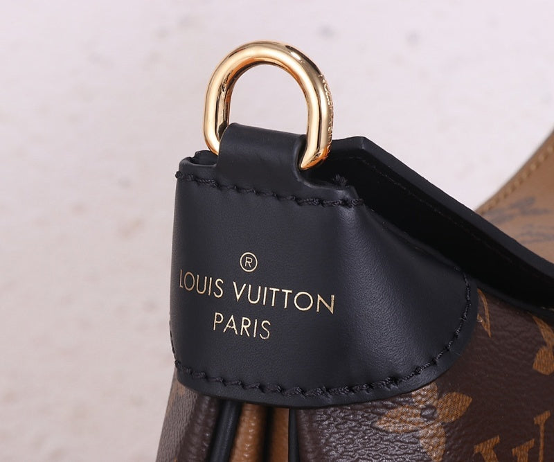 Dragons Bags LVn Luxury Bag --80415