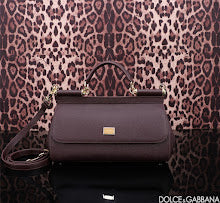new-designer-premium-bags-nm7029