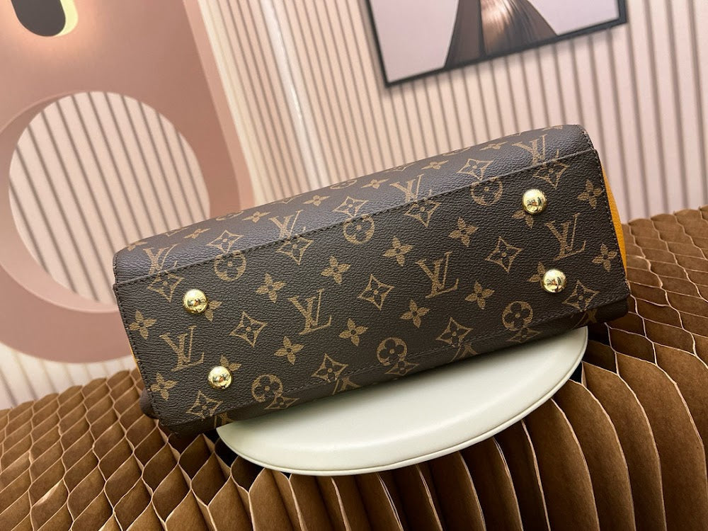 Dragons Bags LVn Luxury Bag --79914
