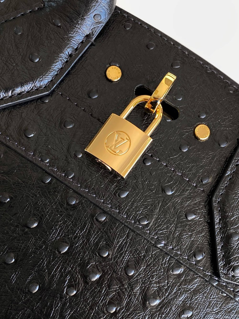 Dragons Bags ln Luxury Bag --96180
