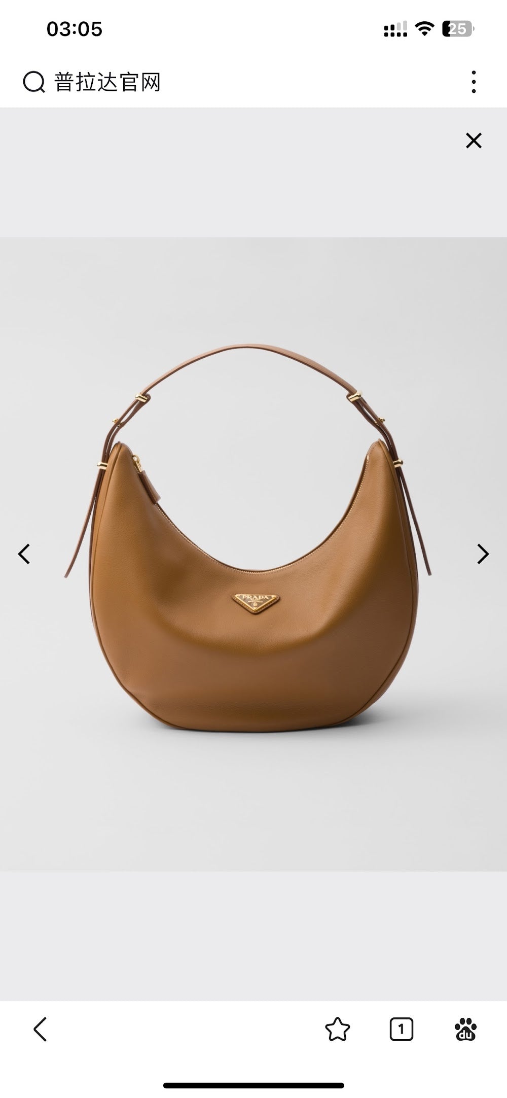 Dragons Bags Pradn Luxury Bag --102602