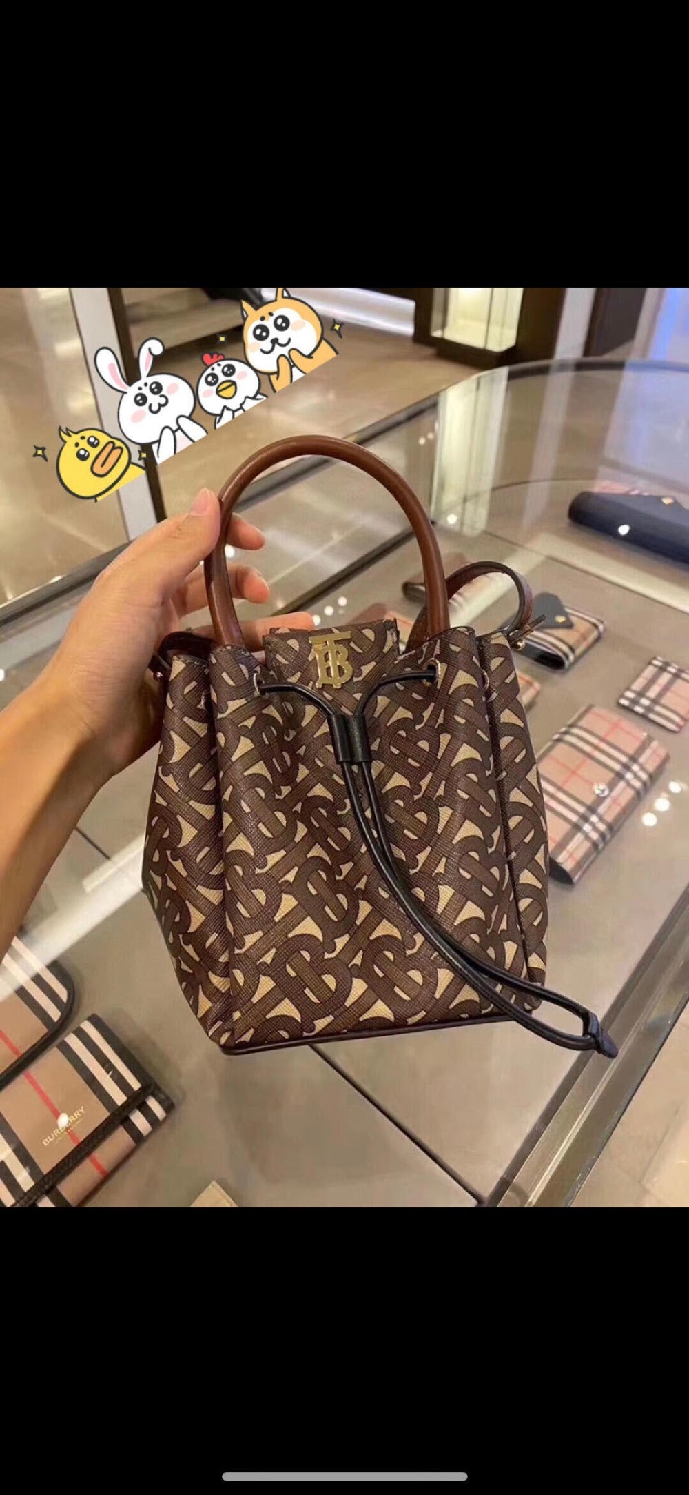 Dragons Bags Burberryn Luxury Bag --91630