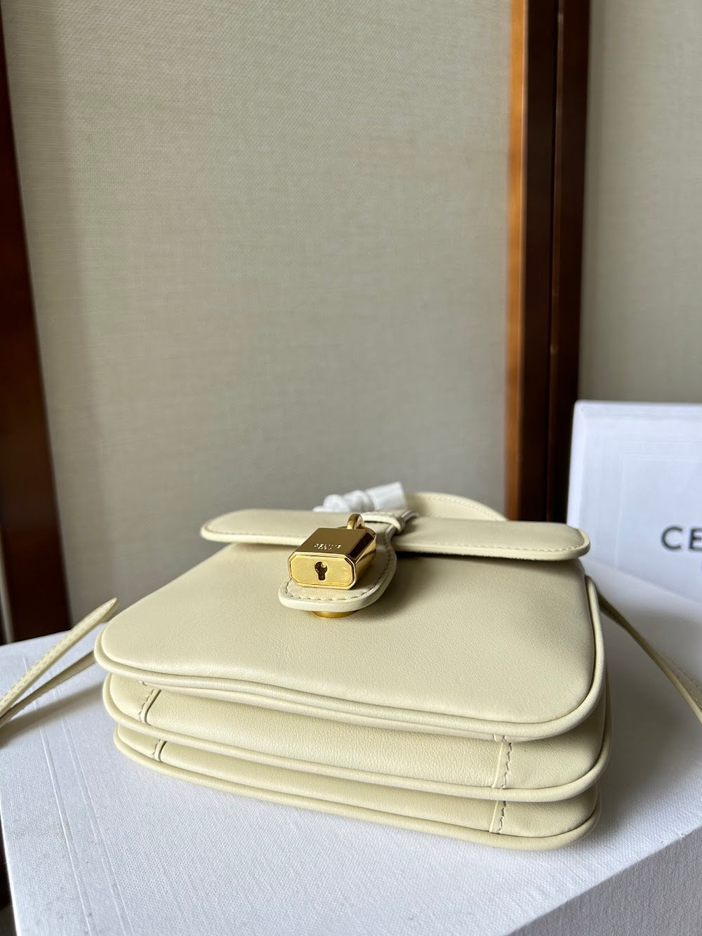 Dragons Bags Celine Luxury Bag --112514