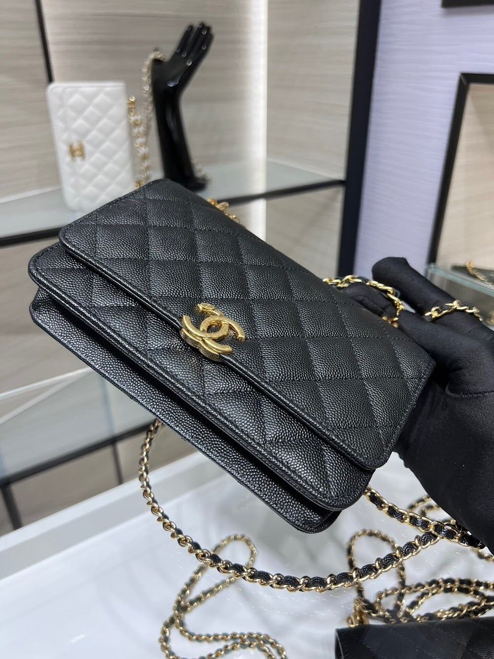 new-designer-premium-bags-nm10157