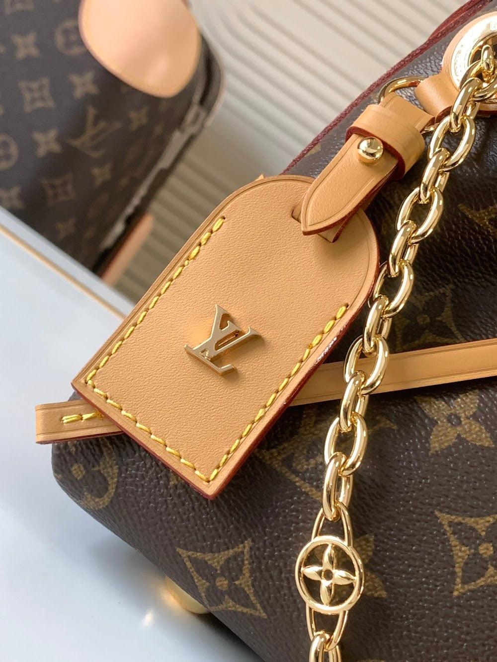 Dragons Bags LVn Luxury Bag --79278