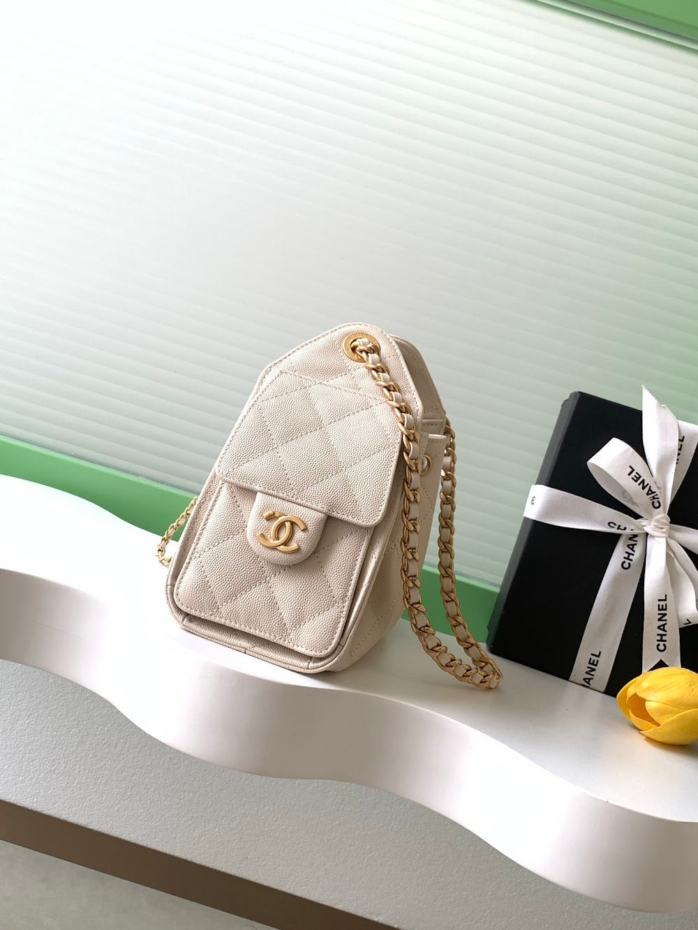 Dragons BagsCHn Luxury Bag --114112
