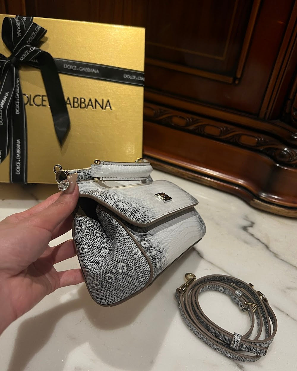 Dragons Bags DGn Luxury Bag --93678