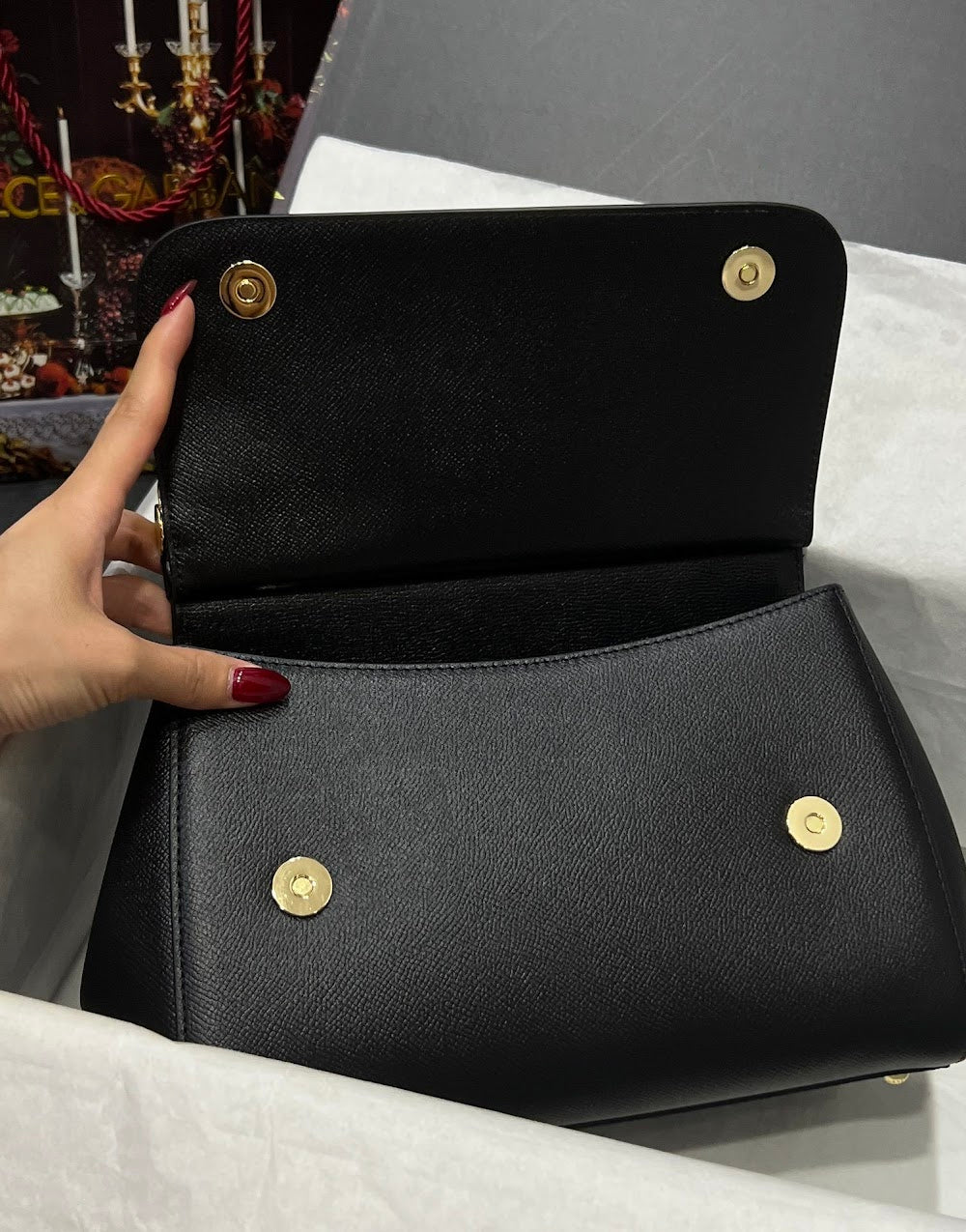 Dragons Bags DGn Luxury Bag --93387