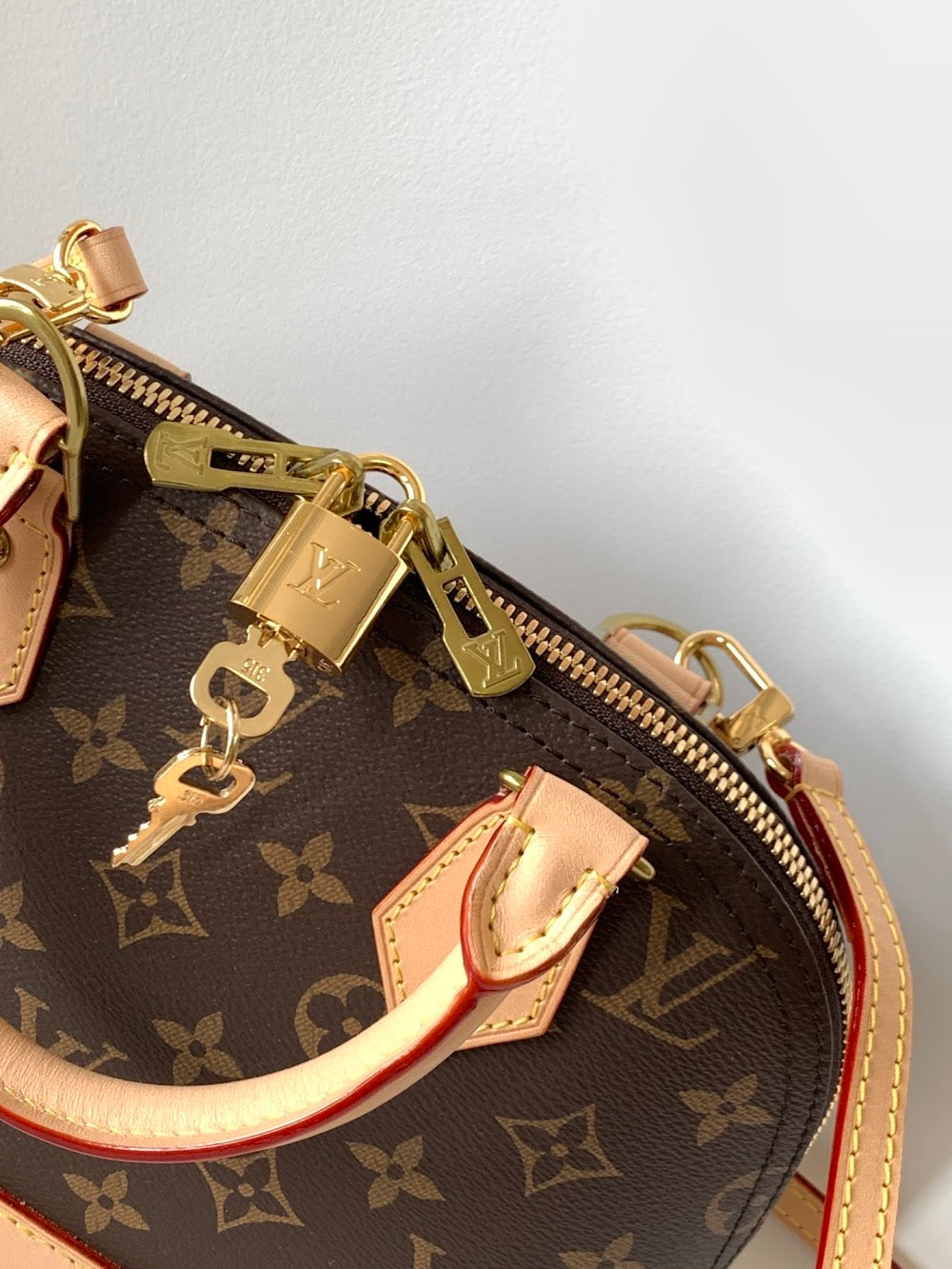 Dragons Bags LVn Luxury Bag --79222